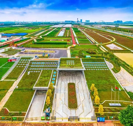 南沙现代都市农业实验园