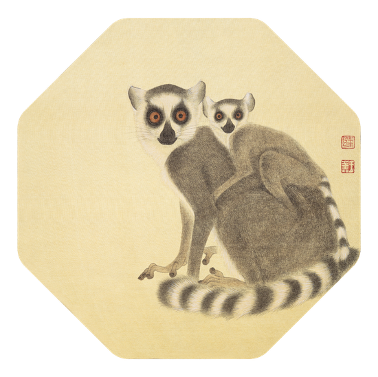 《环尾狐猴·2》 | 28x28cm | 绢本设色