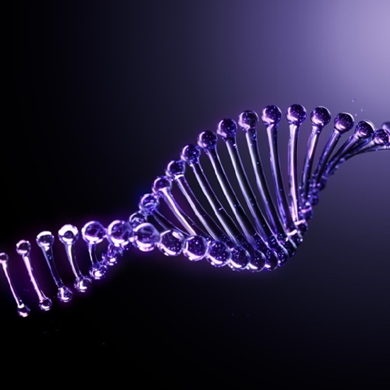 欧莱雅独家专利PDRN