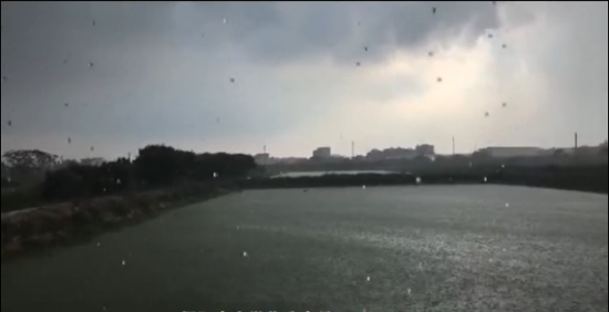 拍摄:陈培鸿