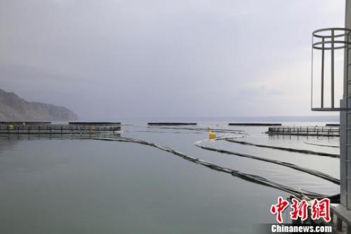 图为青海龙羊峡库区养殖场。 张添福 摄