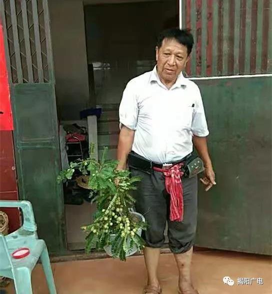 此照片由朱乃兵提供
