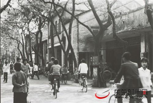 ■1983年的莞城市桥路 陈锦波 摄