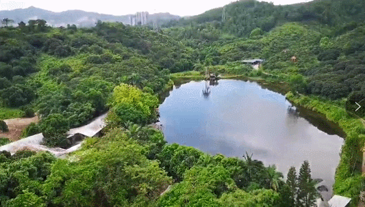 实景图