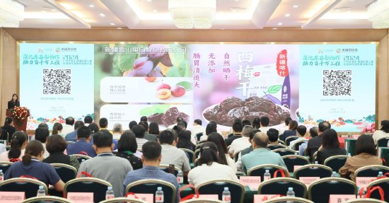推介会现场。李剑锋 摄
