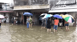 空港经济区登岗镇