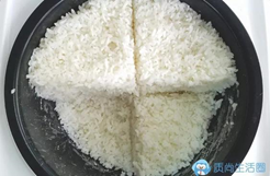 mijia/米家IH电饭锅米饭均匀度