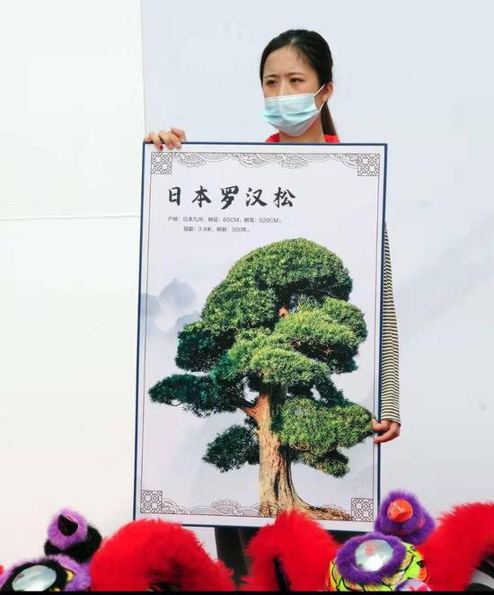 图：姚日文 李沁杰