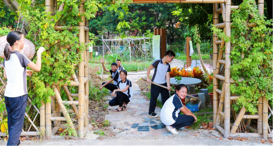 北滘镇朝亮小学竹居农场