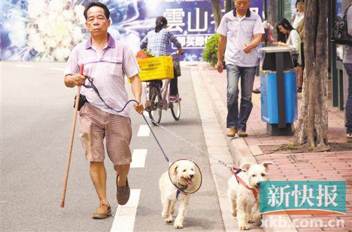 ■广州三元里地铁站附近，一男子手牵两只宠物狗在路上溜达。 VCG供图