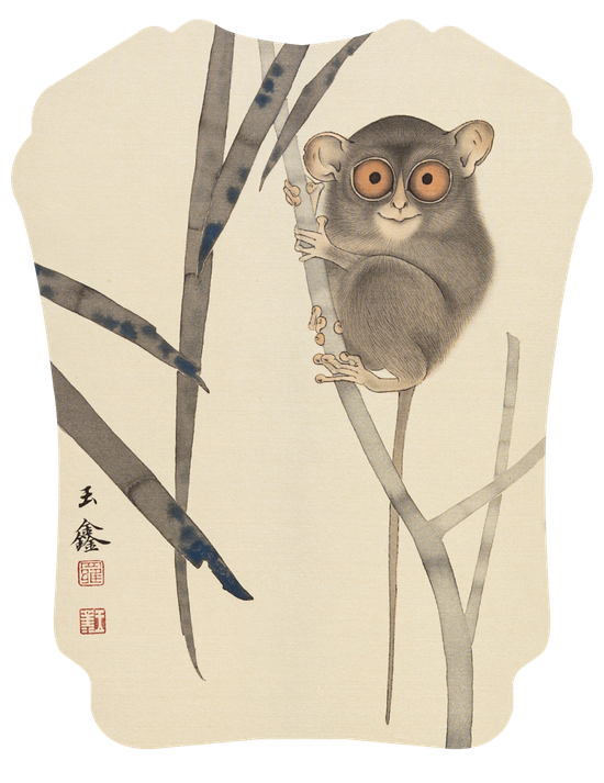 《眼镜猴·2》 | 28x27cm | 绢本设色