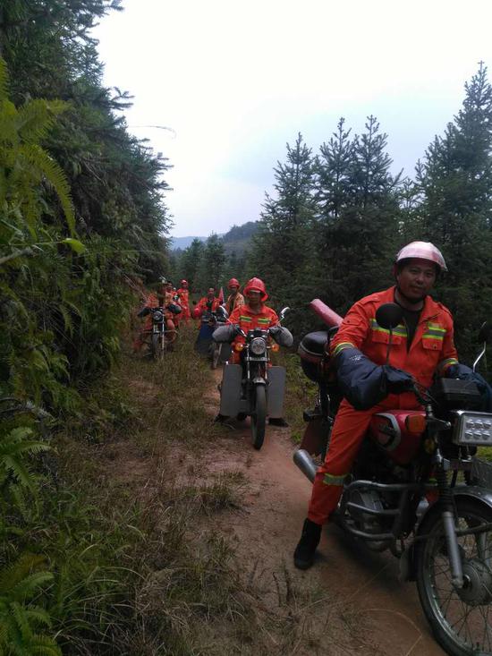 护林员在山上巡查