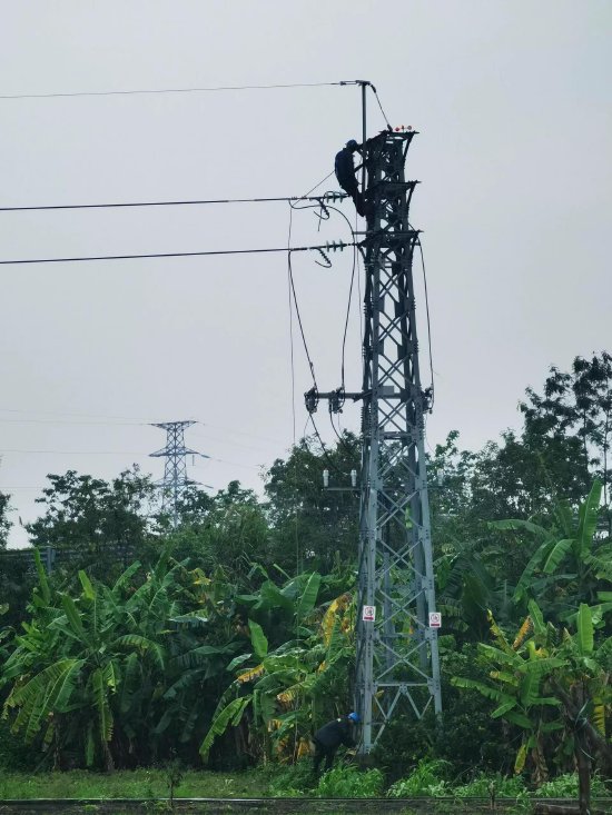 受极端暴风雨天气影响,广州从化城郊街从化F7线路被雷击中受损断线,电力工作人员全力抢修,成功完成复电工作。(李瑞林 摄)