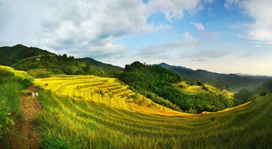 仁化县人口有多少_仁化县地图