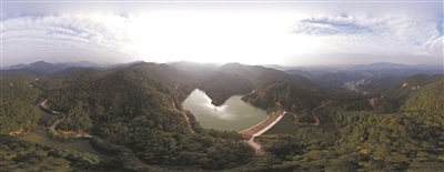 云勇林场