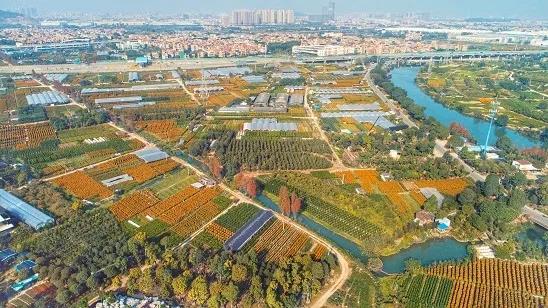 乐居陈村