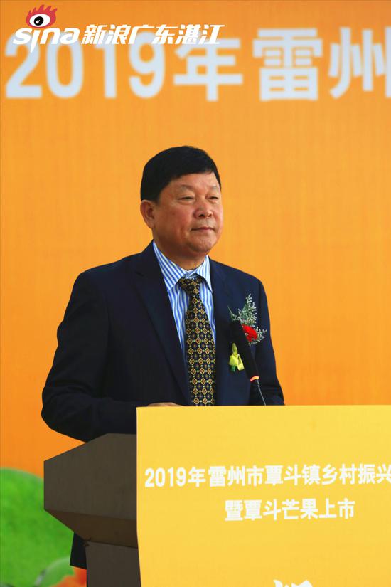 (广东画景集团董事长刘定先生讲话)