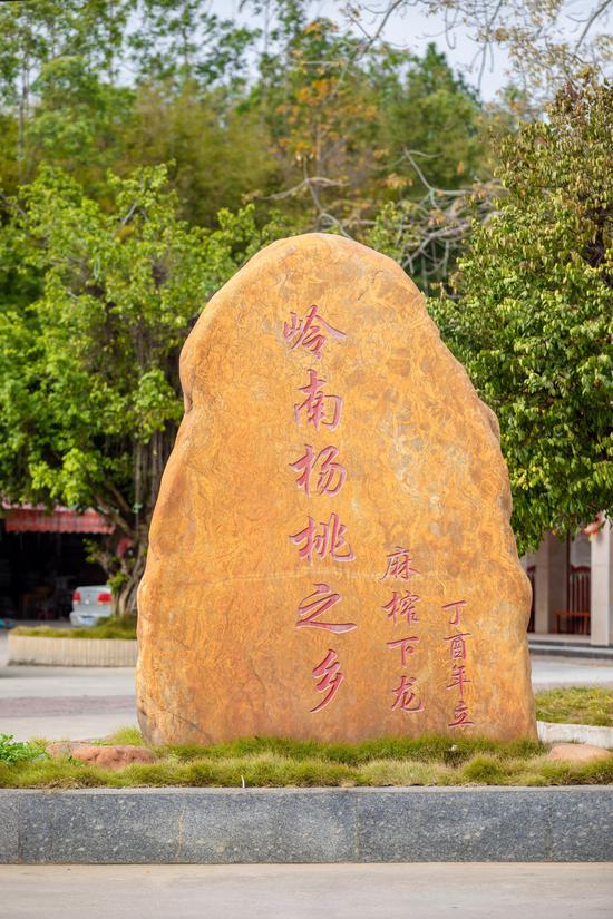岭南杨桃之乡