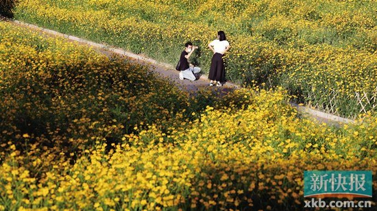 中秋假期,不少市民选择在广州及周边地区欢度佳节。新快报记者 夏世焱/摄