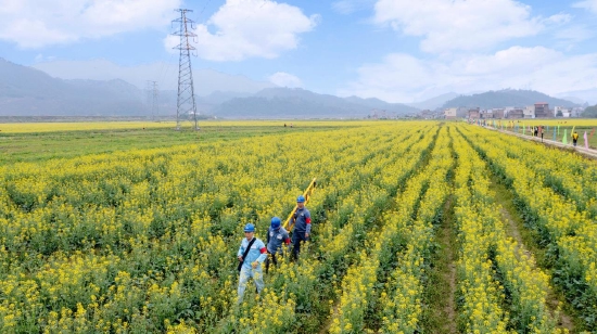 　　南方电网广东肇庆高要供电局党员服务队对种植基地附近灌溉设备及线路进行隐患排查，确保春耕春种用电线路供电稳定可靠。叶姗姗 摄