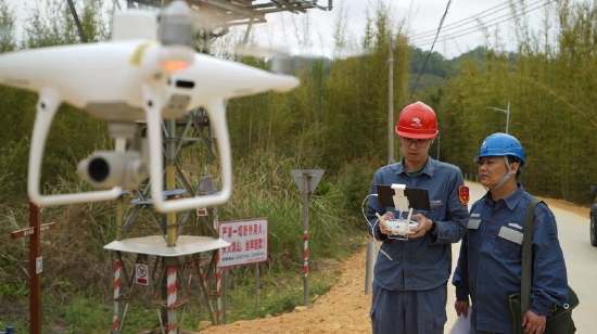 南方电网广东惠州惠城供电局运维人员通过无人机对重点防山火线路开展精细化巡视 。(张晓霞 摄)