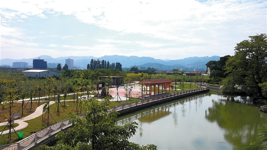 潮阳区桥前村文化活动广场景色迷人