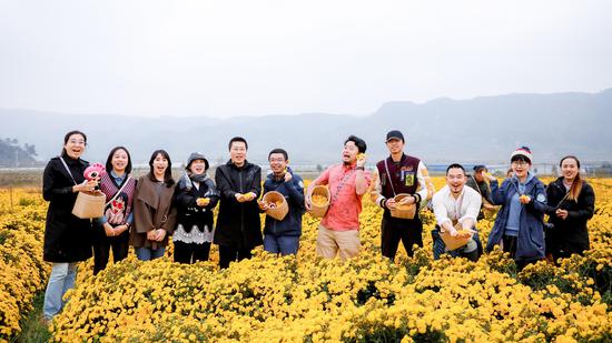 “助威团”在云雾镇金丝皇菊基地助农采花