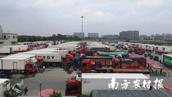 嘉兴水果市场荔枝交易区