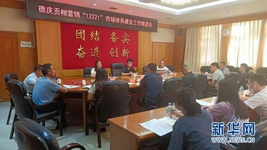 10月6日，德庆县召开贡柑营销“12221”市场体系建设工作推进会。新华网发