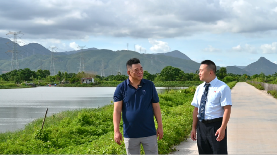 建行客户经理参观台山润峰水产养殖公司蟹田