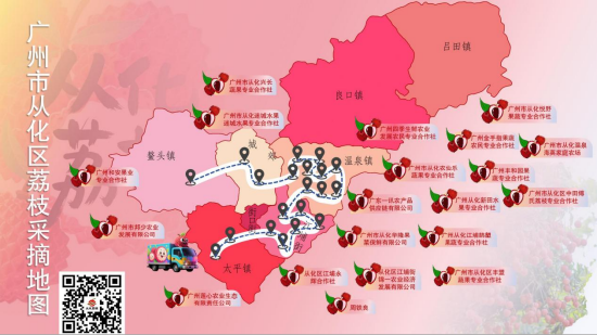 广州市从化区荔枝采摘地图