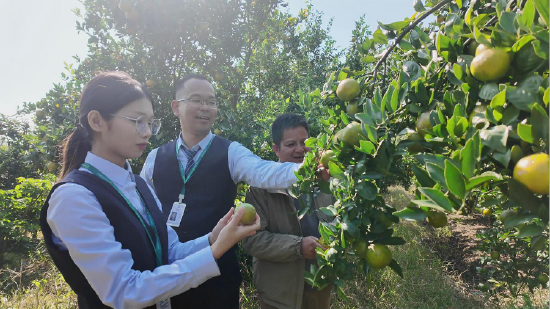 邮储银行工作人员在田间。