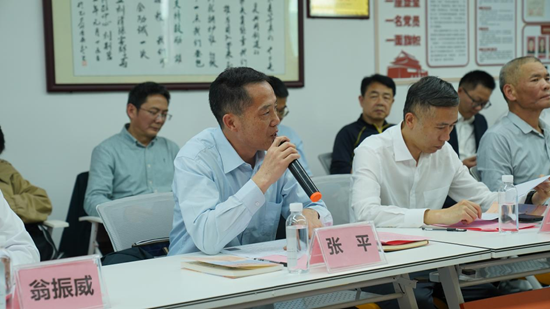 广州市白云区派驻吴川市长岐镇驻镇帮镇扶村工作队队长张平发言