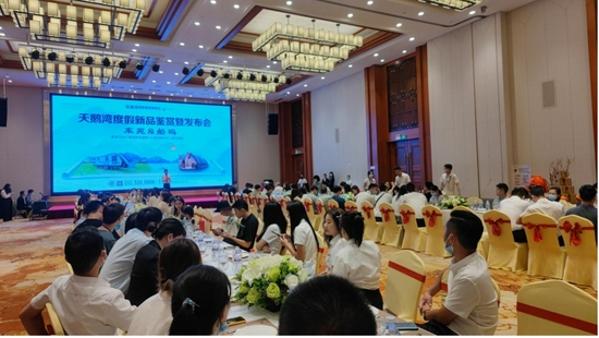 媒体发布会现场照片