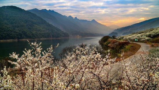 全国顶尖民宿大咖齐聚从化论剑乡村振兴_新浪