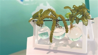 植慧研究院预建世界首个植物干细胞银行。