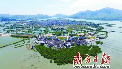 近年来惠州大力推动考洲洋生态保护和修复,建设湿地公园。