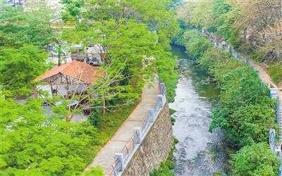 沙河涌治水成果显著,河水清澈见底,岸边风景优美。