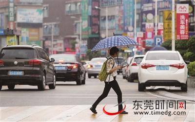 ▲南城城市风景街，市民在雨中赶路 （记者 陈栋 摄）