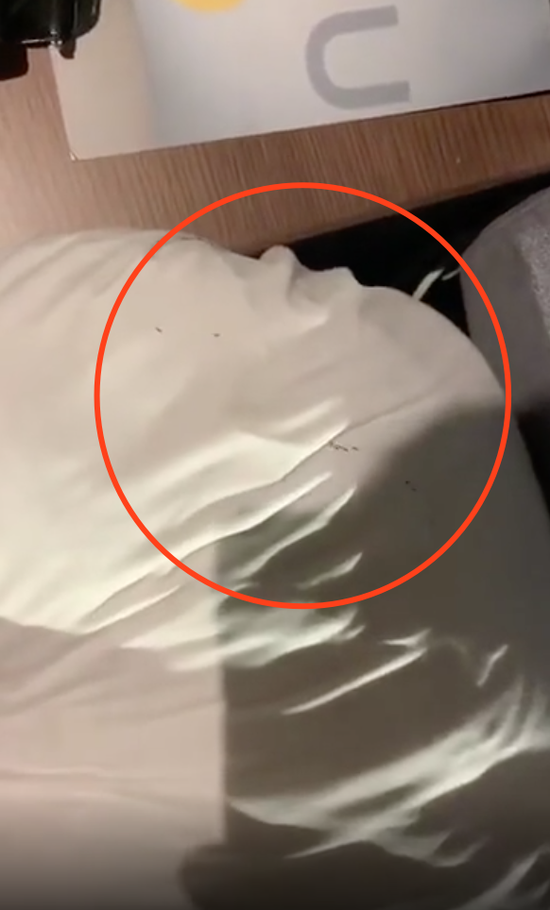 住两千多元别墅酒店 床上蚂蚁成群导致背部过敏