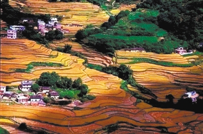 石硖梯田