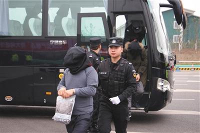 昭化警方押解犯罪嫌疑人。