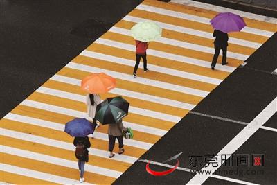 雨中的斑马线，五彩斑斓的伞 （记者 刘春 摄于南城）