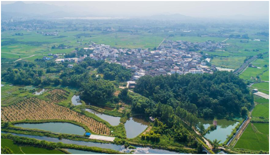 俯瞰安岗村
