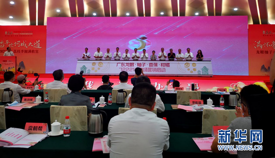 会议现场。新华网发