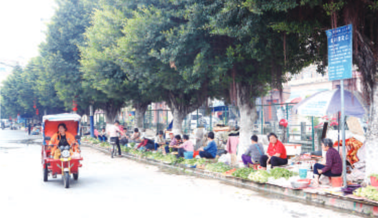 仕版市场经过整治后，小贩们在临时摆卖点卖菜。/珠江商报记者朱德文摄