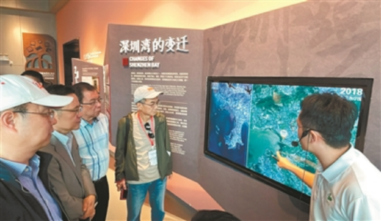 嘉宾了解深圳湾的变迁