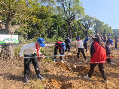图示为:小学生种植少先队小竹林营造植绿护绿爱绿氛围