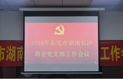 东莞市长沙商会2018年党支部工作会议成功举
