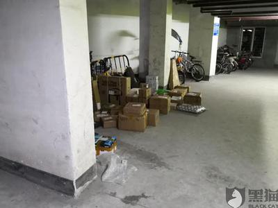 网友供图：大量快递被放置在地下停车场